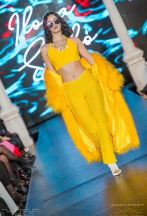 YELLOW FEVER